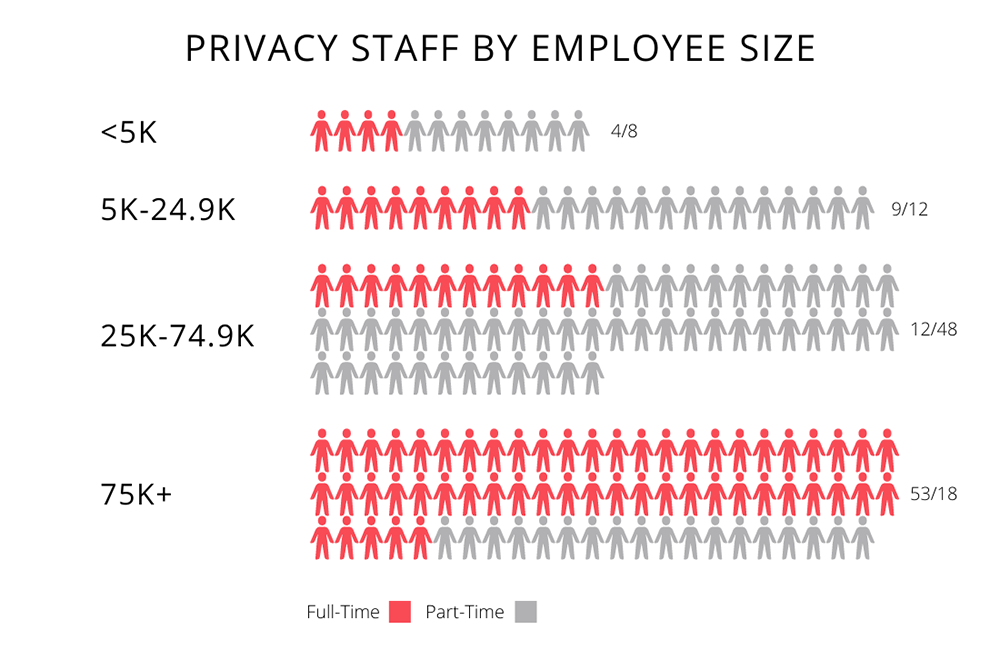 Privacy Staff By Employee Size