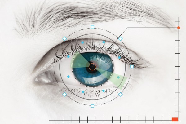 Eye, Biometrics