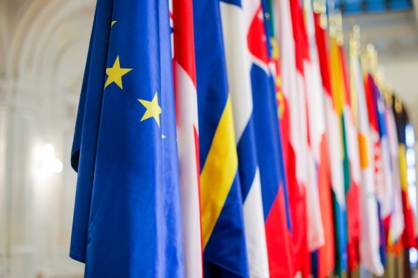 EU Member States flags