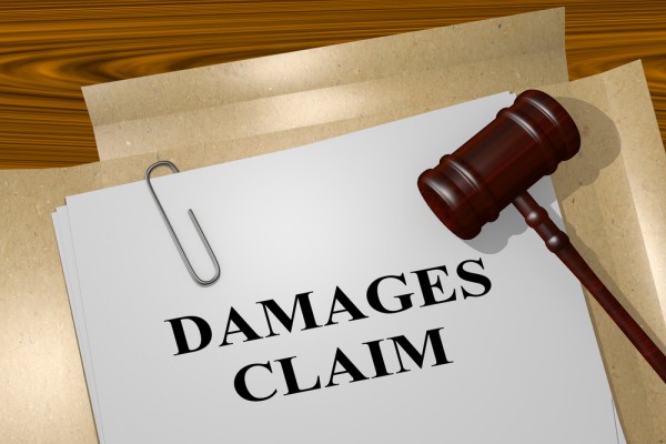 Court damage claims, law, data breach