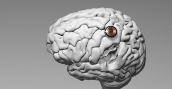 Computer-brain interface