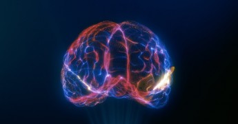 Brain, Artificial Intelligence, AI