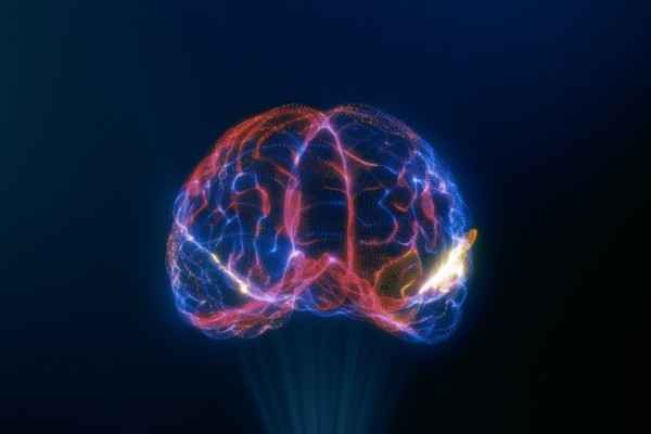 Brain, Artificial Intelligence, AI