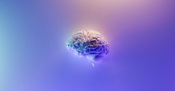Brain, artificial intelligence