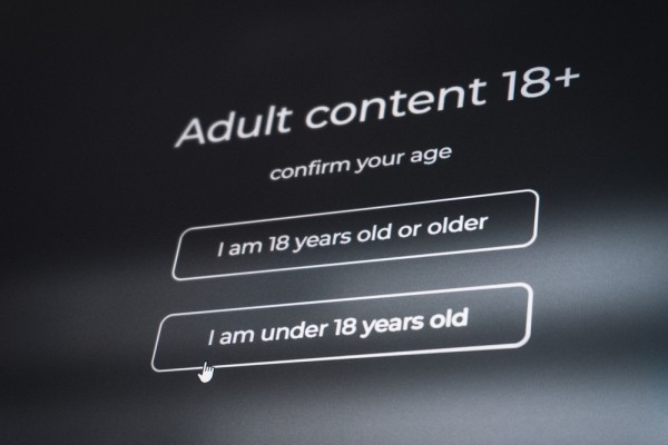 Age assurance, verification, 18